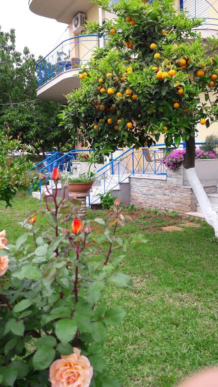 Leader Apartment Mytikas  Bagian luar foto